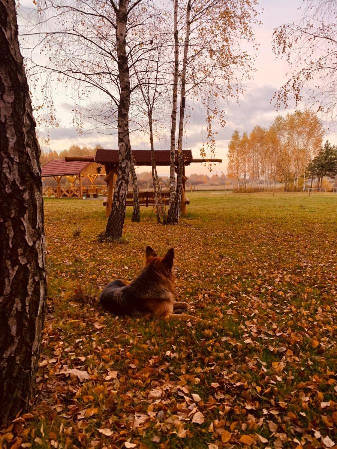 Holiday home Rajskie Siedlisko