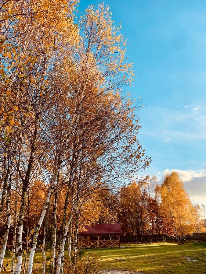 Rajskie Siedlisko Holiday home